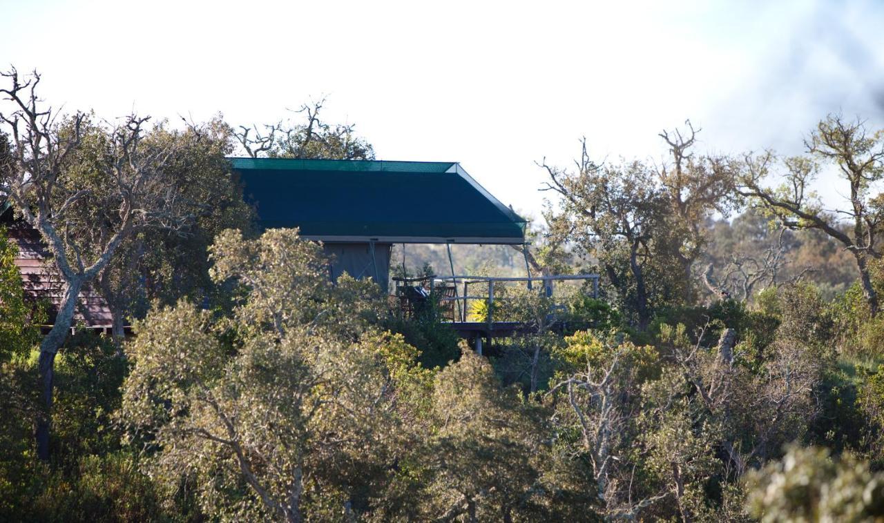 Eco Glamping Portugal Nature Lodge Сан-Луиш Экстерьер фото