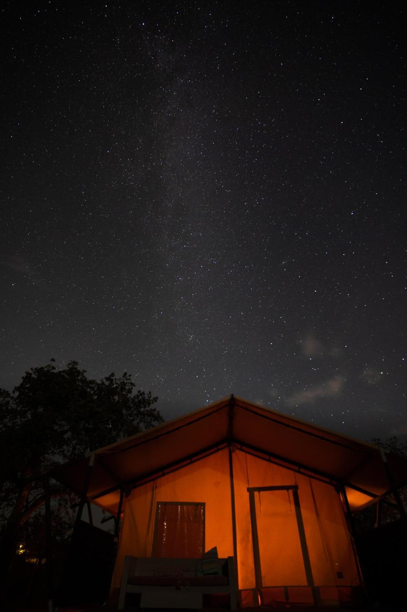 Eco Glamping Portugal Nature Lodge Сан-Луиш Экстерьер фото