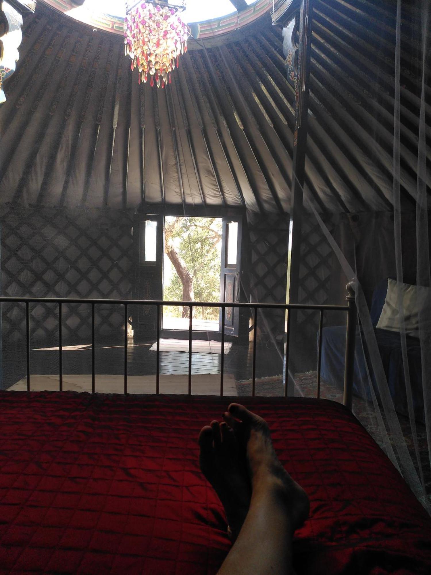 Eco Glamping Portugal Nature Lodge Сан-Луиш Экстерьер фото